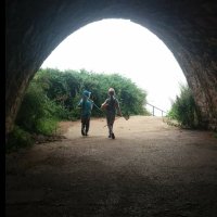 kathryn (@kattybob) 's Twitter Profile