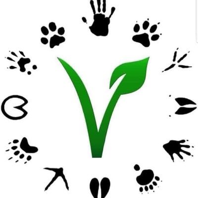 MoPatching's profile picture. 