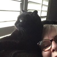 Luna’s mom (@kimnunnink) 's Twitter Profile