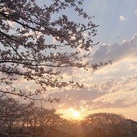 ゆず (@x_yuzu_shadow0x) 's Twitter Profile
