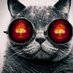 Binary Surfer (@surfer_binary) Twitter profile photo Binary Surfer (@surfer_binary) Twitter profile photo