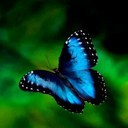 William Davy - @NatureKnight11 - Twitter