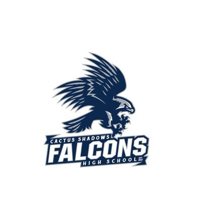 CSHSvolleyball1's profile picture. Official Twitter account of Cactus Shadows Girls Volleyball