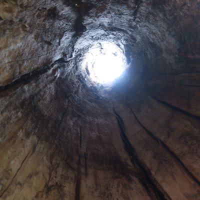 Ji23eOjp7vpKITf's profile picture. 