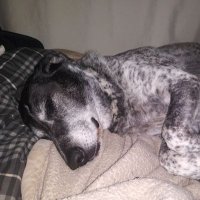 TXscrewdriver (@jimhammer) 's Twitter Profile
