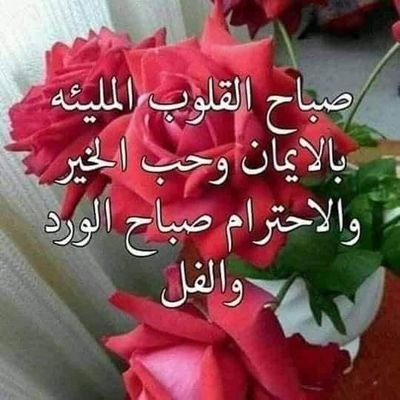 ofnpnQzsklifHvE's profile picture. 