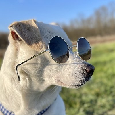 DPerae's profile picture. 