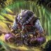 Zackaroth (@zackaroth_rand) Twitter profile photo Zackaroth (@zackaroth_rand) Twitter profile photo
