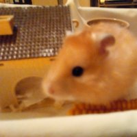 Stelios (@stelios_0151) 's Twitter Profile