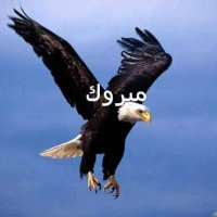 عبدالرحمن سيد (@01157376448aa) 's Twitter Profile