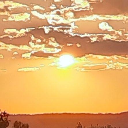 antho7212's profile picture. 