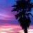Born in California