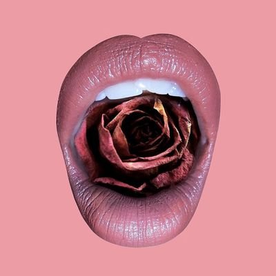 KantehMwamba's profile picture. Music curator