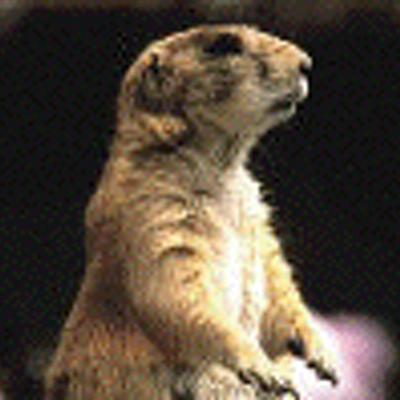 Lord Groundhog