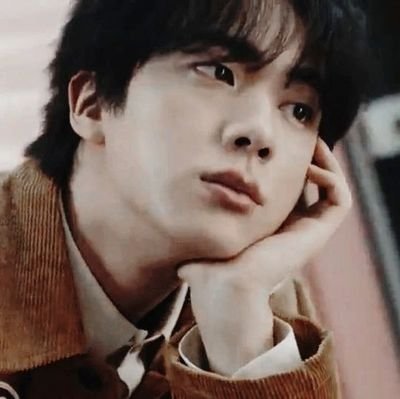 김석진 ─ Kᴏʀᴇᴀɴ【26 ▪ 1'78】 ◦. ▸⋆┊Ｃｈｅｆ⫸◗𝖶𝗂𝗅𝖽𝖼𝖺𝗍𝗌 - 𝟸𝟽/𝟶𝟻 ♡ ❑