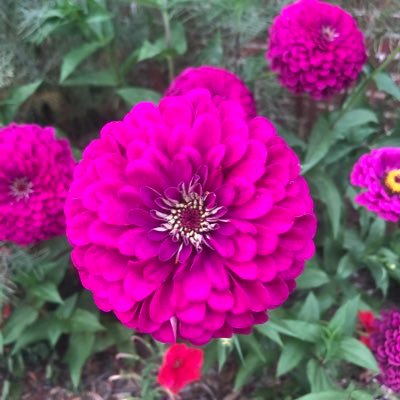 psalm56_3's profile picture. 
