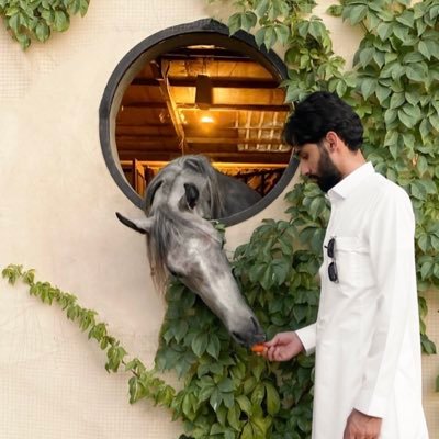 xNVzchwcq4Fhnw7's profile picture. 