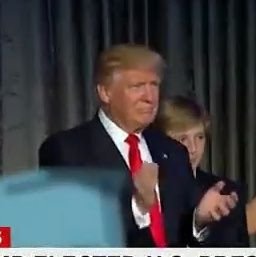 dennisdaley1's profile picture. TRUMP 2020.