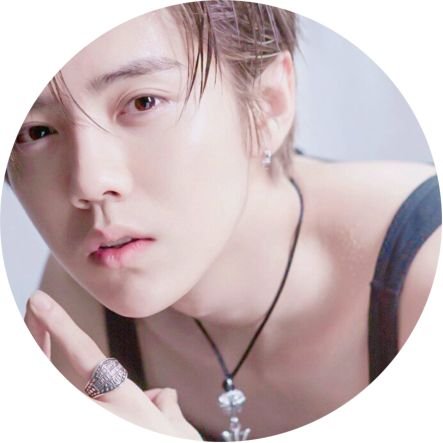 ハルさんのプロフィール画像