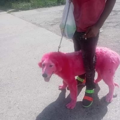 Lorenzo16963529's profile picture. Cool as hell