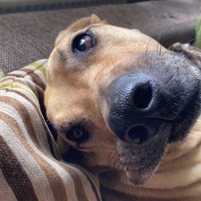 Joergi83's profile picture. 