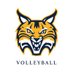 Quinnipiac Volleyball (@QU_WVB) Twitter profile photo