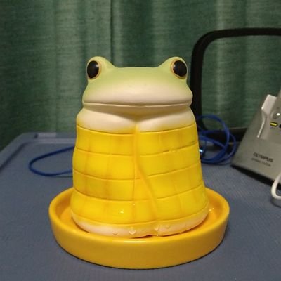 ツノガエルのれにちゃんに振り回される車好きです。囲碁は1桁級になったばかり。ウニ先生(鈴木伸二先生)を推しております☺️
夢は碁会所の受付のおばちゃん!