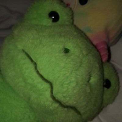 broscki_'s profile picture. twitch affiliate | Genshin Anemo player | gamer cat boy