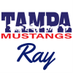 Tampa Mustangs Ray (@MustangsRay) Twitter profile photo