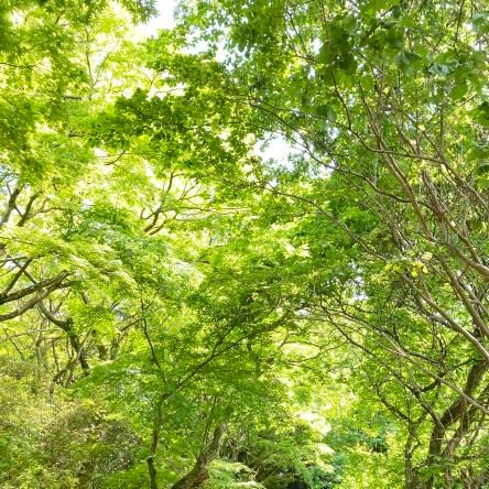 harukaze4989's profile picture. 無言フォローお許し下さいm(_ _;)m