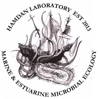 Marine Microbial Ecology Studies at University of Southern Mississippi - always looking for students & staff to join team