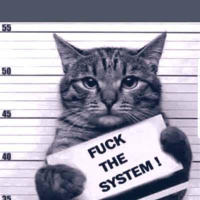 nvr2hi93's profile picture. 🇨🇦O&G. Proud “small fringe minority”