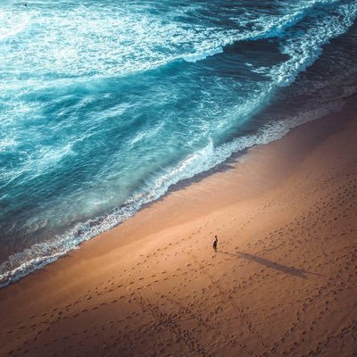 Alex73665388's profile picture. 