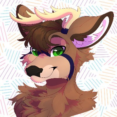 hi im ekolt! a deer on the web! He/Him, 22, banner by @_frackhead pfp by @CaptainierArt