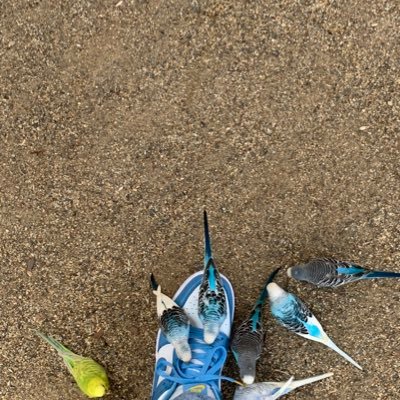 proddremx's profile picture. 