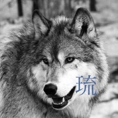 群青 𝔉𝔢𝔫𝔯𝔦𝔰u𝔩𝔣𝔯 21 5 18 𝖳𝗎𝖾𝗌𝖽𝖺𝗒 すき家 納豆朝食 あさり汁変更 今日も今日とて和の極み朝食 すき家に来てほぼ牛丼食ってないw 朝ご飯 すき家 納豆朝食 和の極み朝食 知らんけど