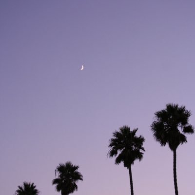 MissRhiRose's profile picture. 