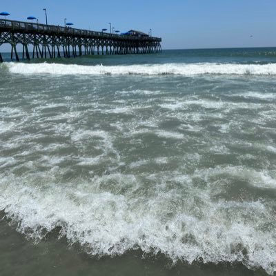 bereal1613's profile picture. Woman.