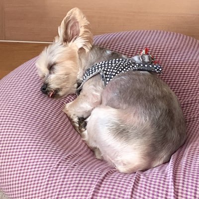 R3年5月から急遽勉強し始めた、5?歳です 😅R3年10月宅建不合格😭11月賃管🈴R4年FP3級🈴FP2級🈴宅建🈴。今、勉強が楽しい︎💕︎保有資格🌸証券外務員1種、カラーコーディネータ2級 、普通自動車、中型2輪🌸手芸.登山.お酒.間取図眺め等好きです。宜しくお願いします🙇♀️