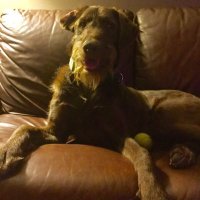 Beck S (@becksedabs) 's Twitter Profile