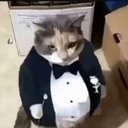 Miguel_Calles - @Miguel_C777 - Twitter