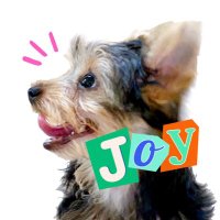 JOY🐶 (@30qnhprsbr8xp6i) Twitter profile photo