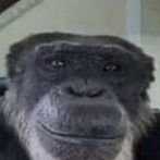 ItzMC7's profile picture. 
