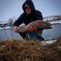 Caleb Stewart (@stewyfb44) 's Twitter Profile