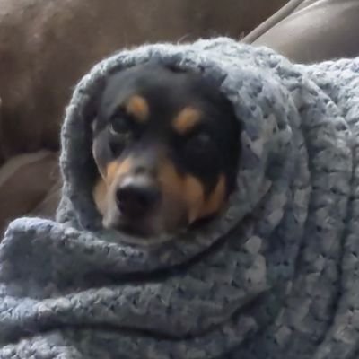 wacko_prophet's profile picture. big chillin