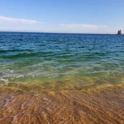 gdttsr1113's profile picture. 