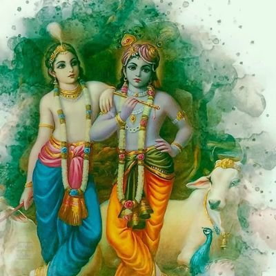 ya76949844's profile picture. 