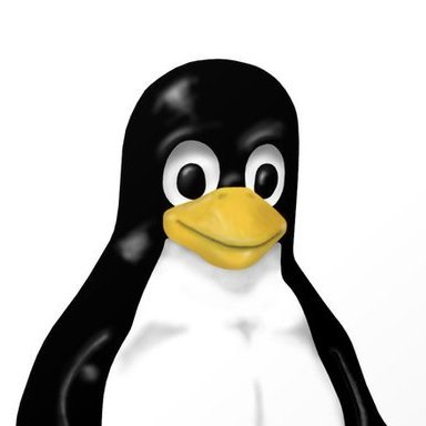 Linux1st