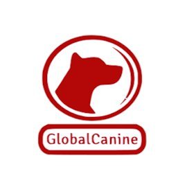 Somos una empresa especializada en educación canina adiestramiento canino y ofrecemos cursos de formación canina en España y Sudamérica. 16 años de experiencia.