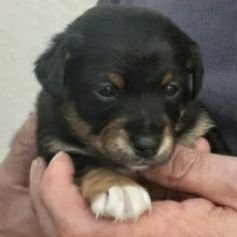 alto635's profile picture. 